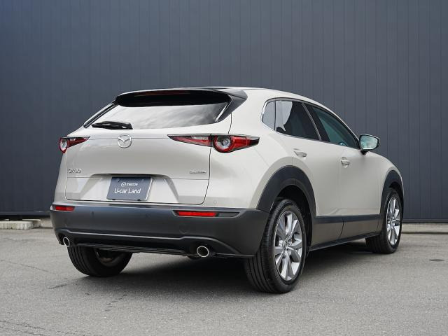 CX-302.0 20S プロアクティブ