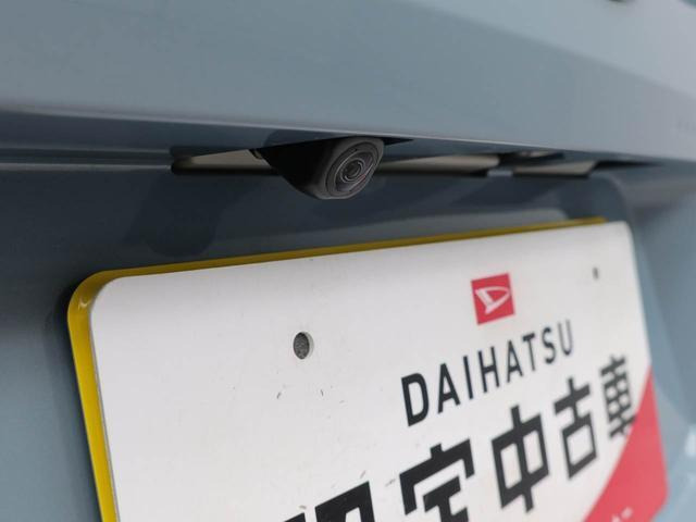 タフトG