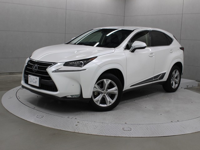 NX300h バージョンL
