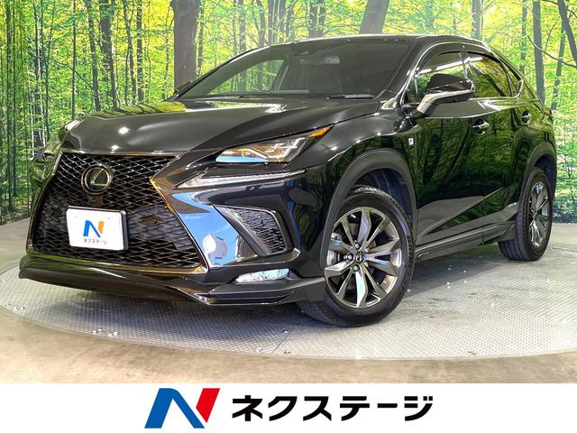 NX300h Fスポーツ