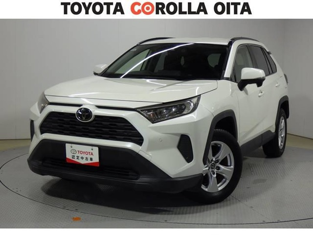 RAV42.0 X