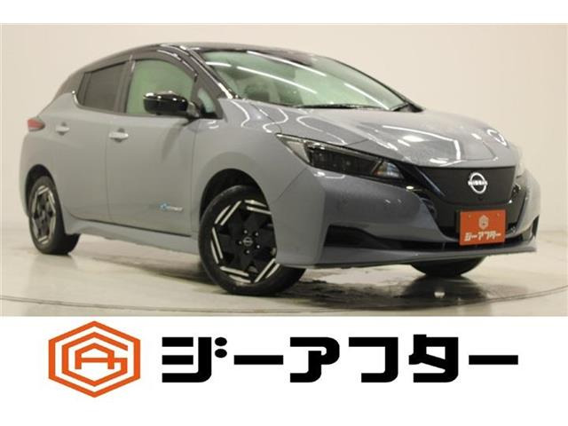 リーフe+ X