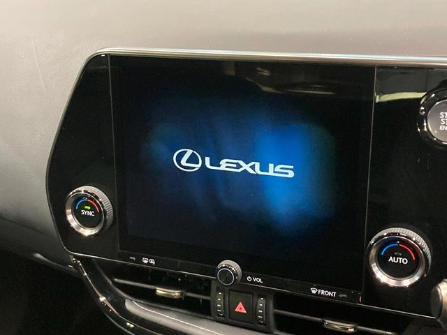 NX250
