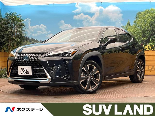 UX250h バージョンL