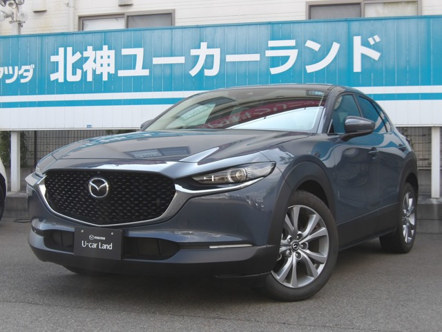 CX-302.0 20S プロアクティブ