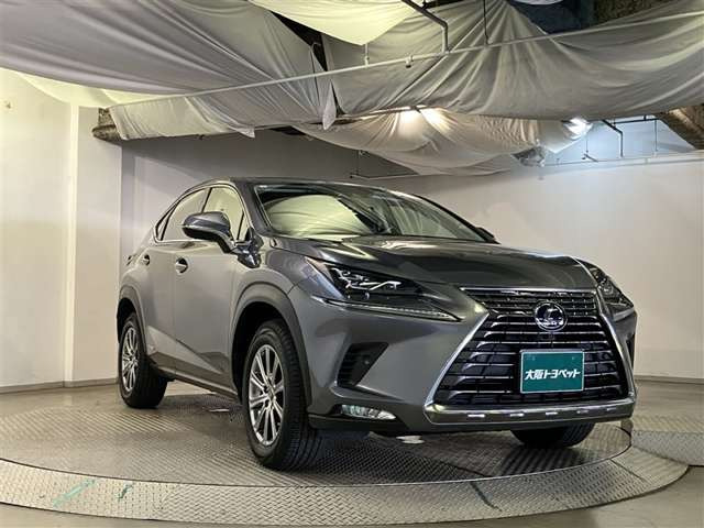 NX300h Iパッケージ 4WD