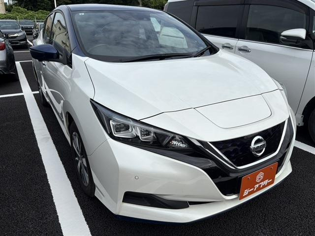リーフe+ X