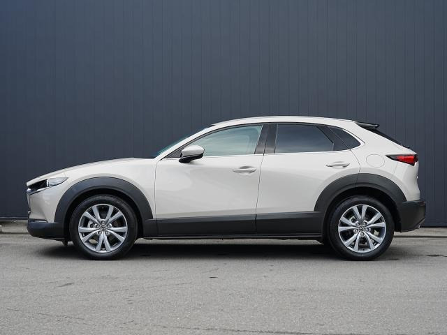 CX-302.0 20S プロアクティブ