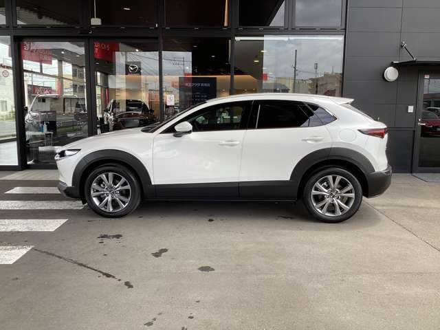 CX-301.8 XD Sパッケージ 4WD