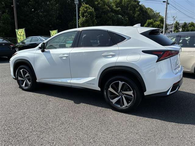 NX300h Iパッケージ
