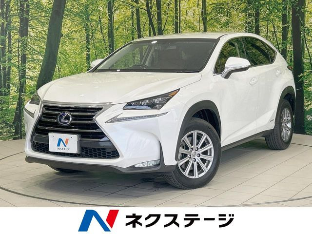 NX300h Iパッケージ