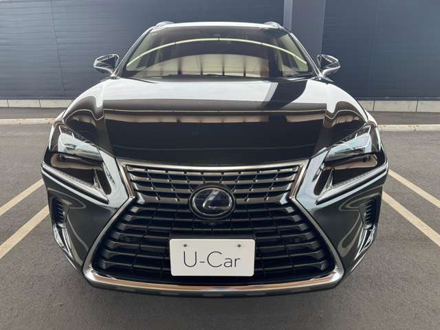 NX300h バージョンL 4WD