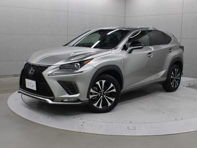 NX300 Fスポーツ