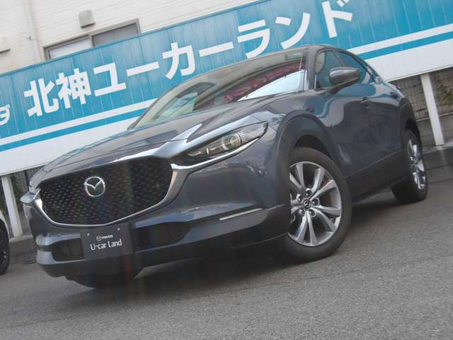 CX-302.0 20S プロアクティブ