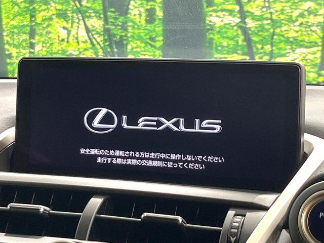 NX300h Fスポーツ
