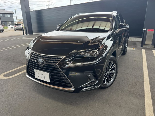 NX300h バージョンL 4WD