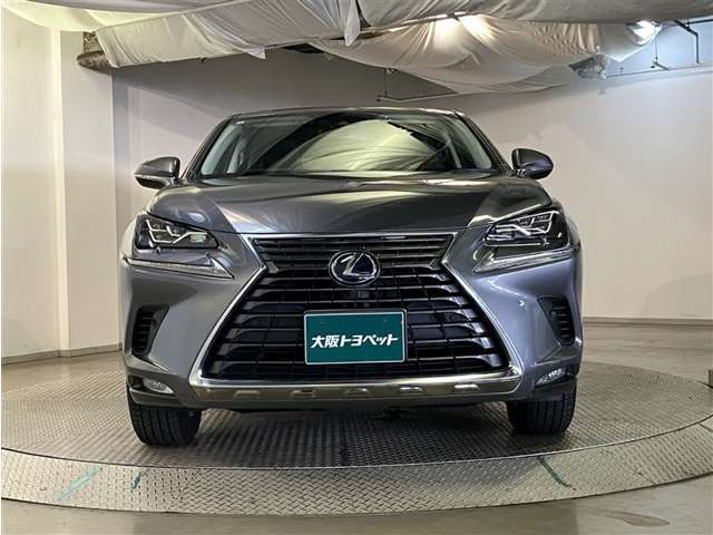 NX300h Iパッケージ 4WD