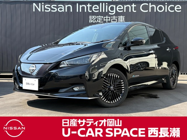 リーフe+ G