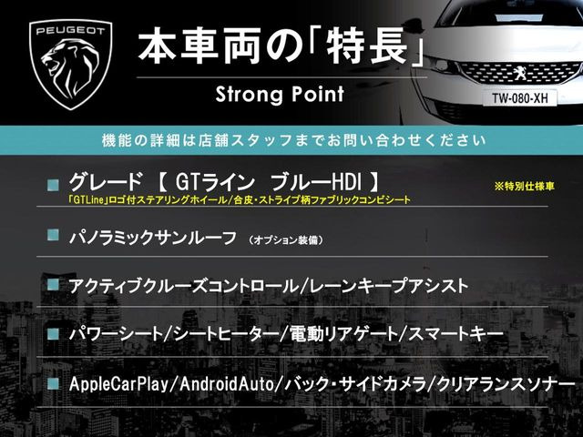 3008GT ブルーHDi