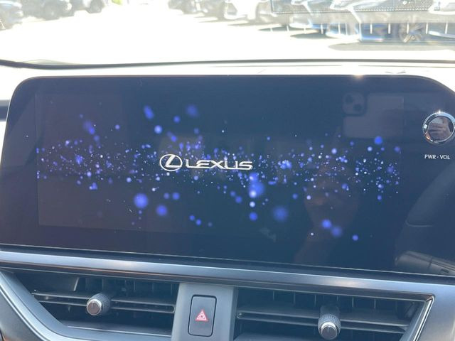 UX250h バージョンC