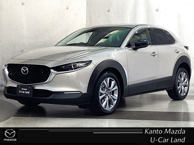 CX-302.0 20S プロアクティブ