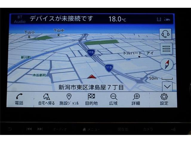リーフe+ X