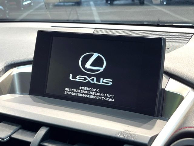 NX300h Fスポーツ