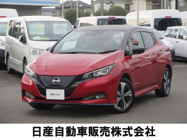 リーフe+ G
