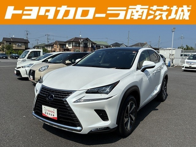 NX300h Iパッケージ