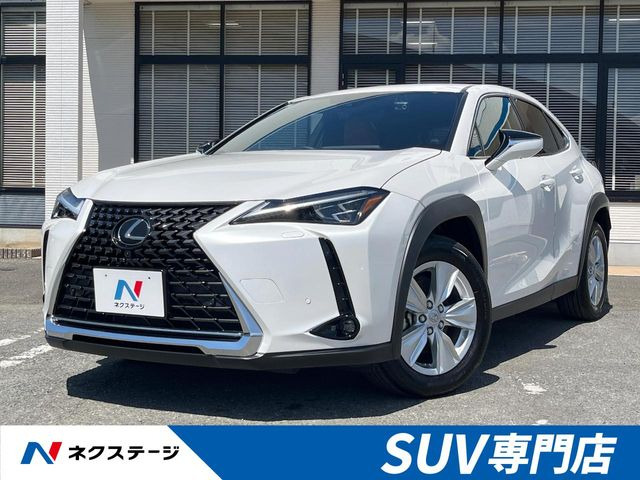 UX250h バージョンC
