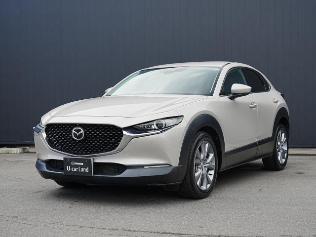 CX-302.0 20S プロアクティブ