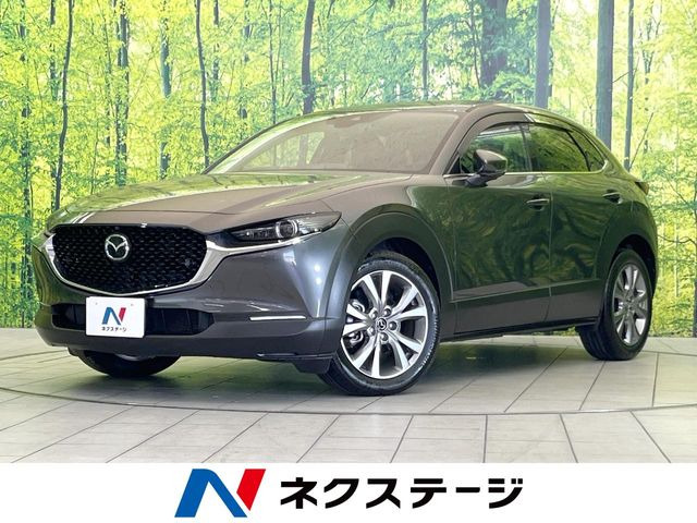 CX-302.0 20S プロアクティブ ツーリングセレクション