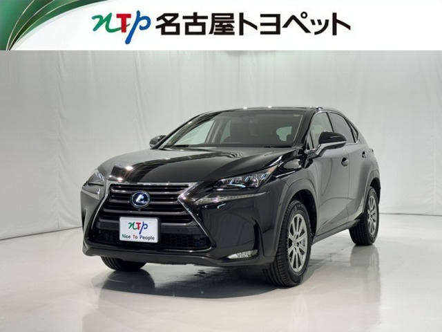 NX300h Iパッケージ