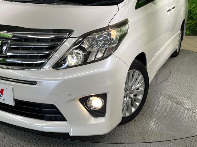 �w�b�h���C�g��e�[�������v&�A���~�z�C�[�����̊e��R�[�e�B���O���I�X�X�����Ă���܂��B�����Y�����̉��΂݂≘���}���A���ꂢ�ȏ�Ԃ������e�i���X���X�ŕۂĂ܂���