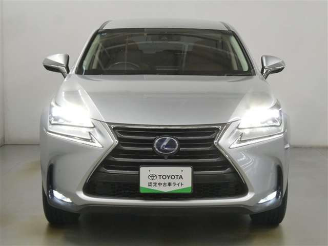 NX300h バージョンL