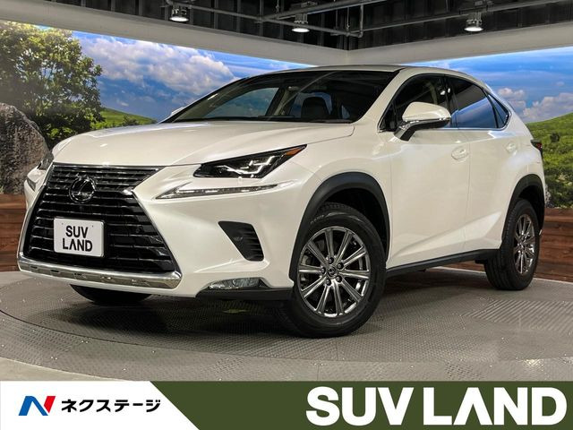 NX200t Iパッケージ