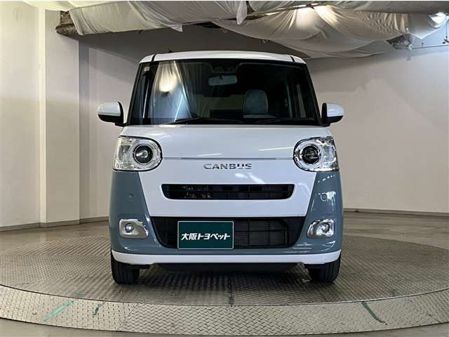 ムーヴキャンバスストライプス G