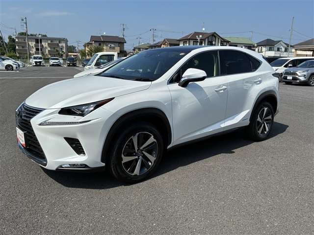 NX300h Iパッケージ