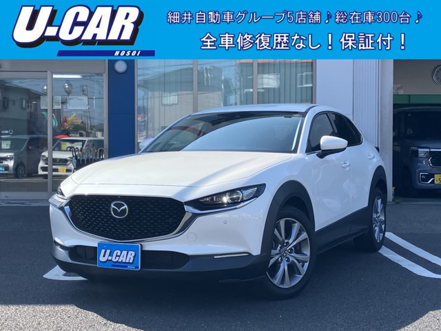 CX-302.0 20S プロアクティブ ツーリングセレクション