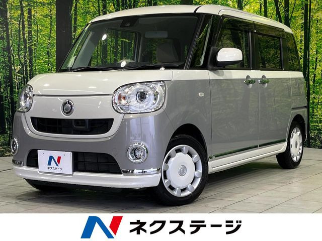 ムーヴキャンバスG メイクアップ SAII