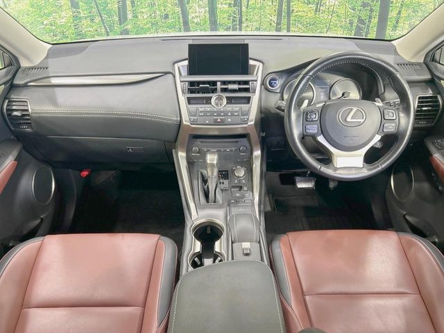 NX300h Iパッケージ