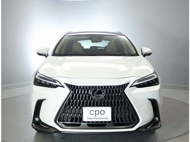 NX350h バージョンL