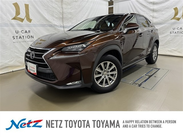 NX300h Iパッケージ