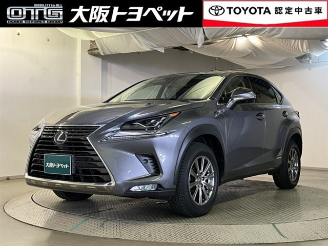 NX300h Iパッケージ 4WD
