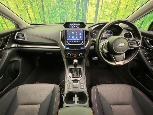 XV