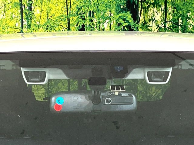 XV