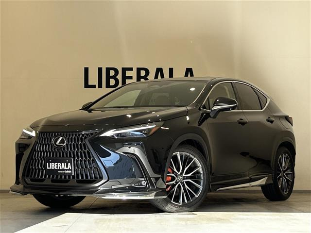 NX250 バージョンL