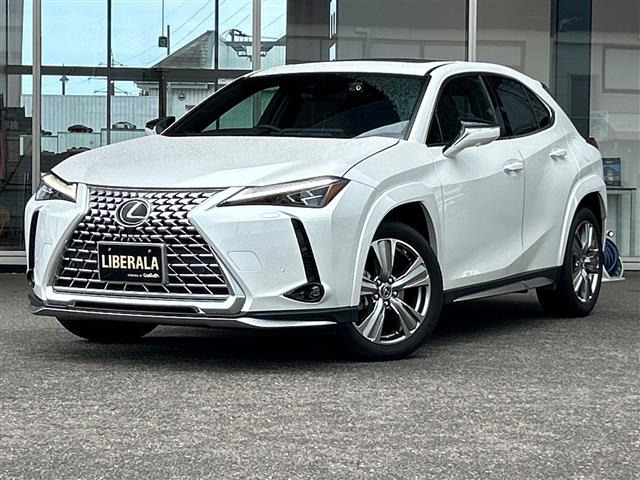 UX250h グレイスフル エクスプローラー