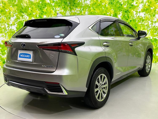 NX300h