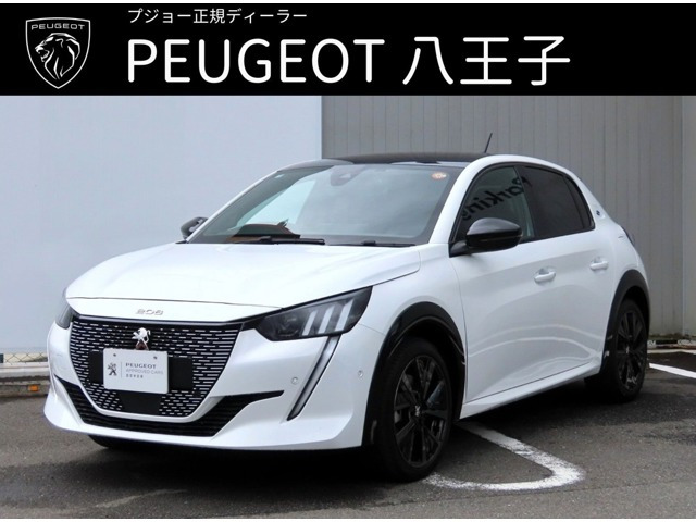 e-208GT
